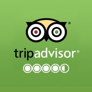 trip-advisor-logo4-5stars